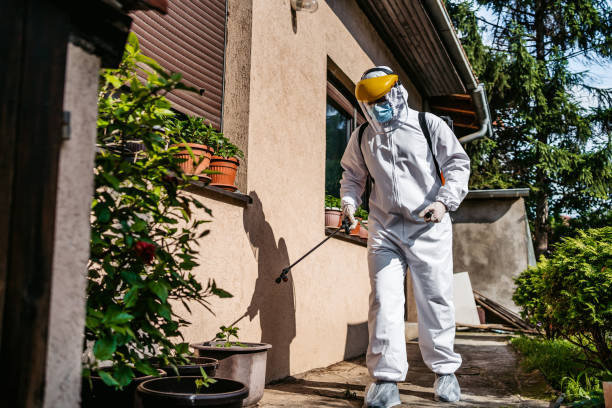 Best Mosquito Control Services  in Claypool, AZ