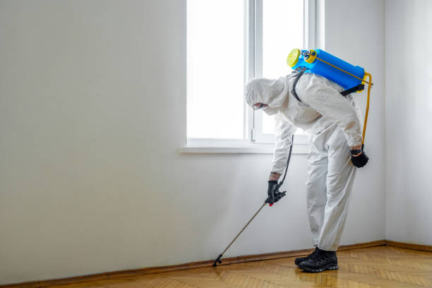 Best Local Pest Control Services  in Claypool, AZ