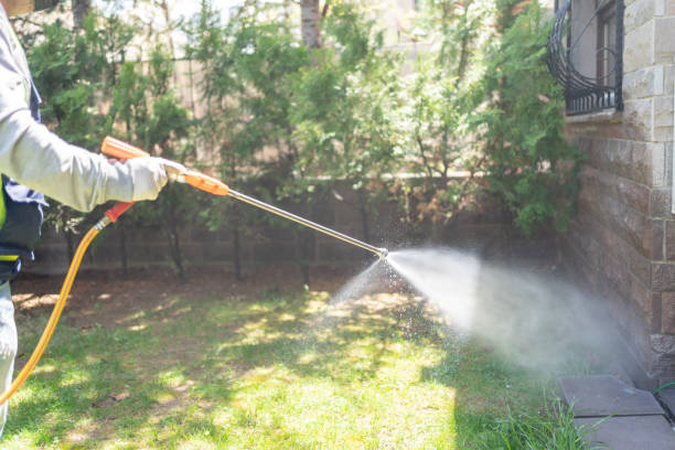 Best Best Pest Control Companies  in Claypool, AZ